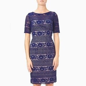 Royal blue lace Adrianna Papell dress size 6